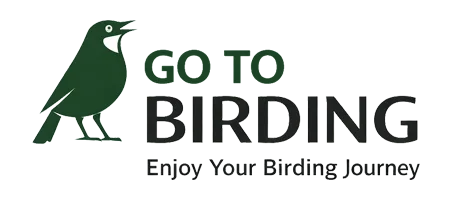 GoToBirding logo-2 color-no background