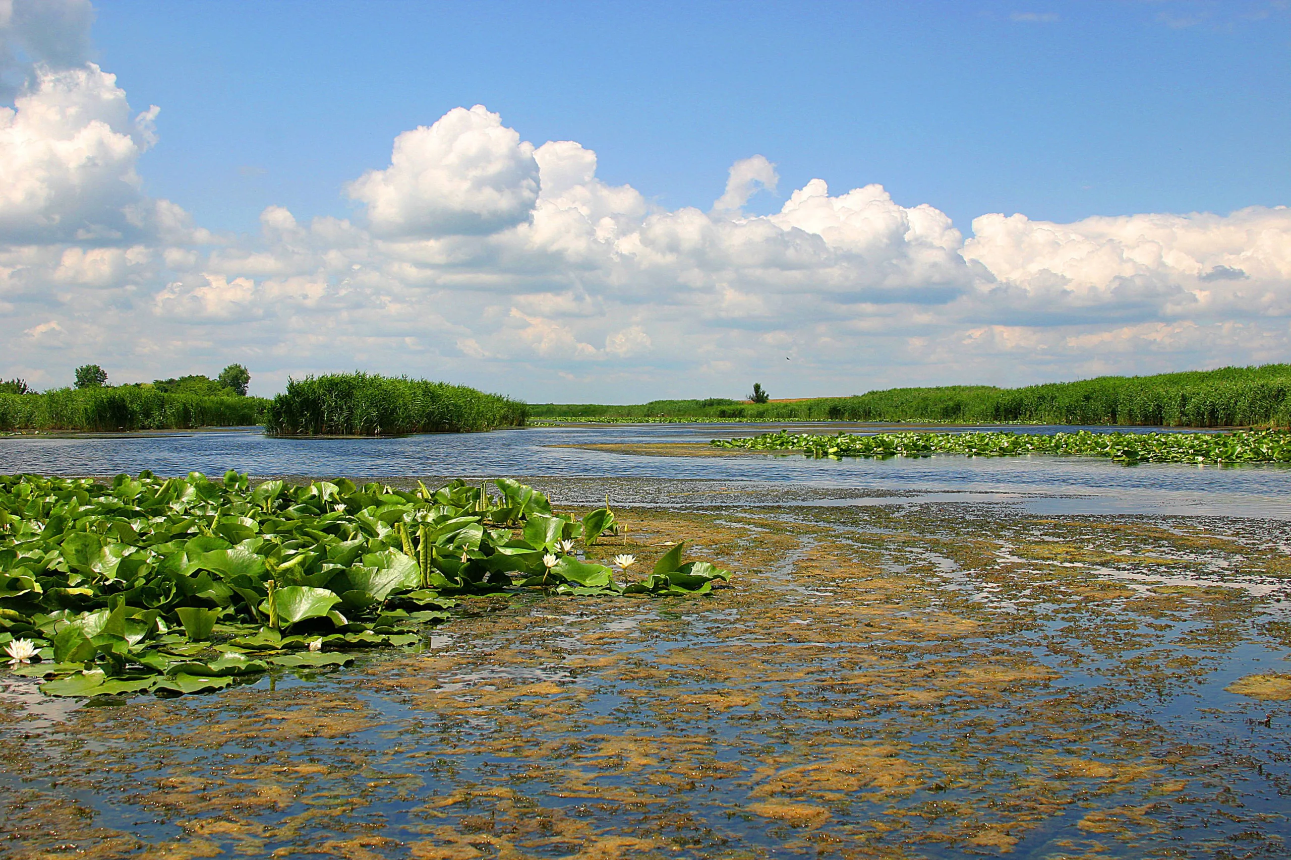 Jegricka river landscape