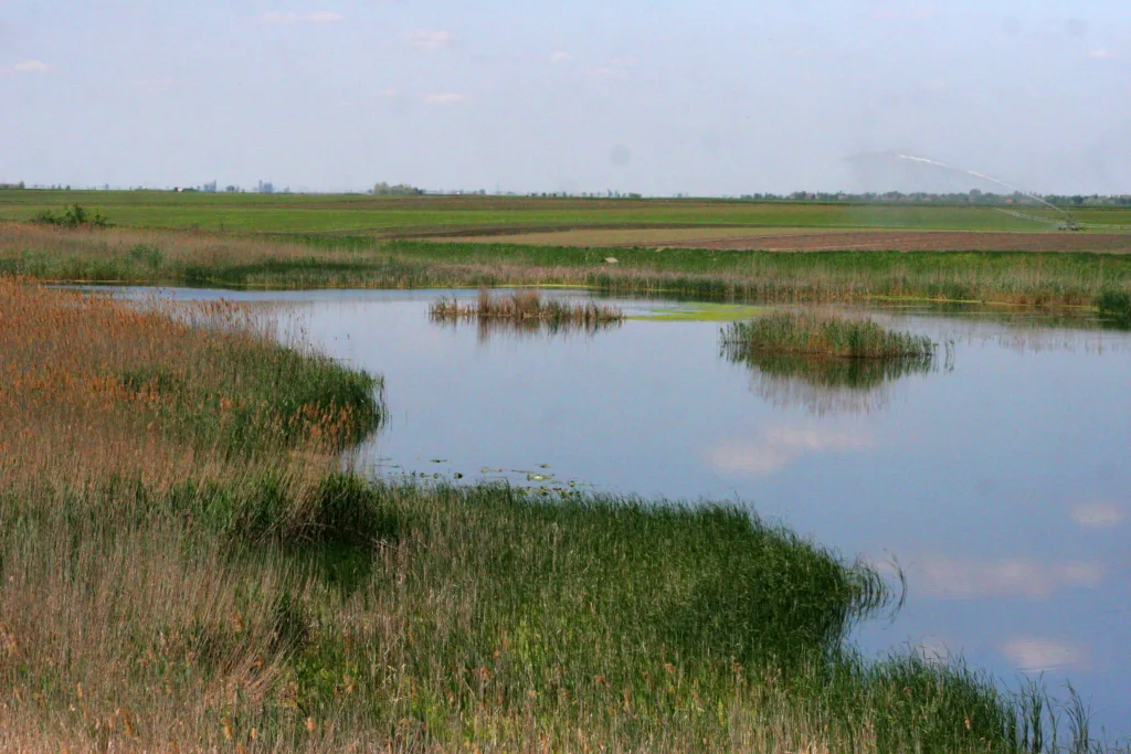 Landscape of the Jegricka river