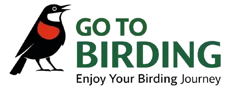 GoToBirding