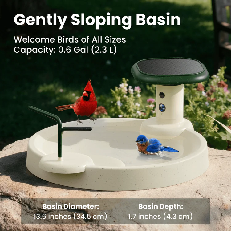 Birdfy Bath Jolly O – Solar-Powered Smart Birdbath Birdfy Bath Jolly O - Solar-Powered Smart Birdbath