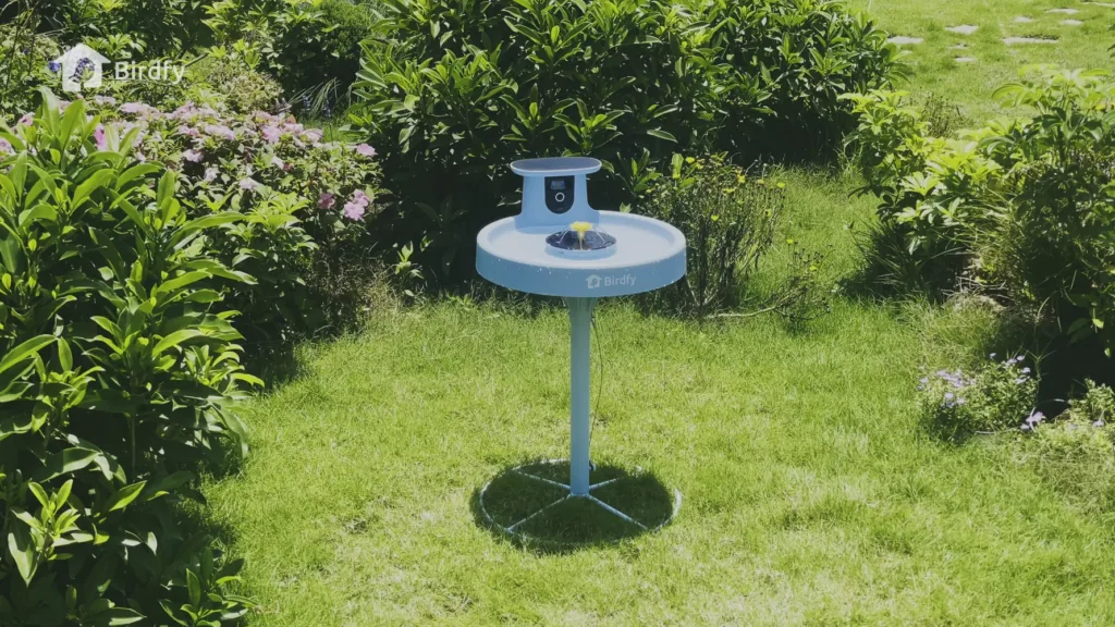Birdfy Birdbath Pro Video capture