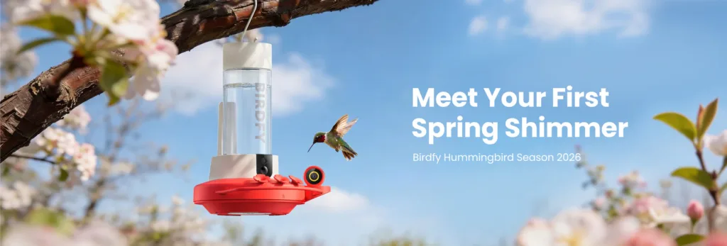 Birdfy Hummingbird Feeder
