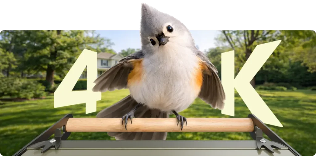 Birdfy metal_2 4K smart bird feeder 1