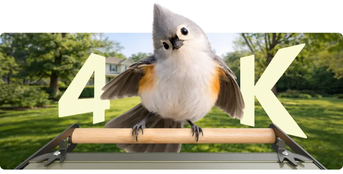 Birdfy metal_2 4K smart bird feeder 1