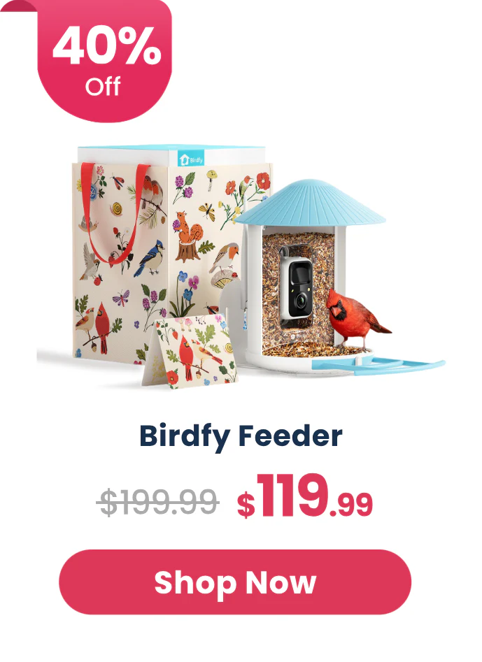 Birdfy-mothers_day-sale event feeder