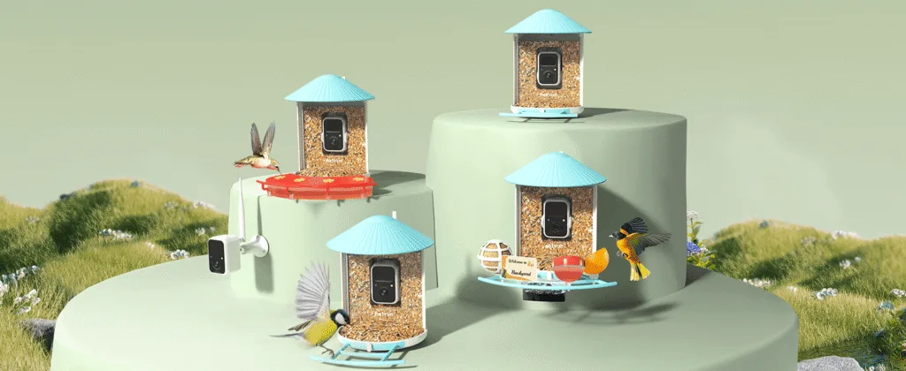 Birfy Feeder Fammily