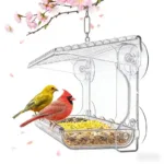 Outdoor Bird Feeder Window Type for Courtyard and Balcony, Transparent with Strong Suction Cup, Automatic Feeding, Leak-Proof Bi