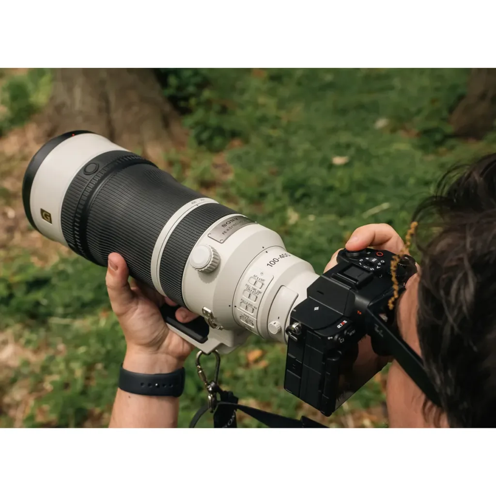 Sony FE 100-400mm F4.5 GM Lens for Bird Photography