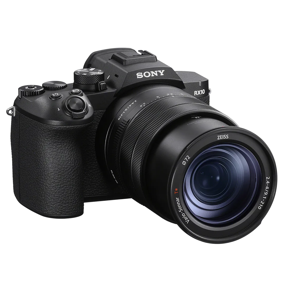 Sony RX10 V review for bird photography 2