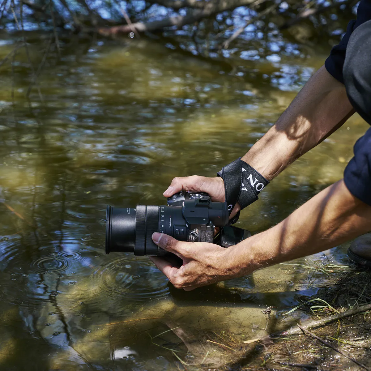 Sony RX10 V review for bird photography 3