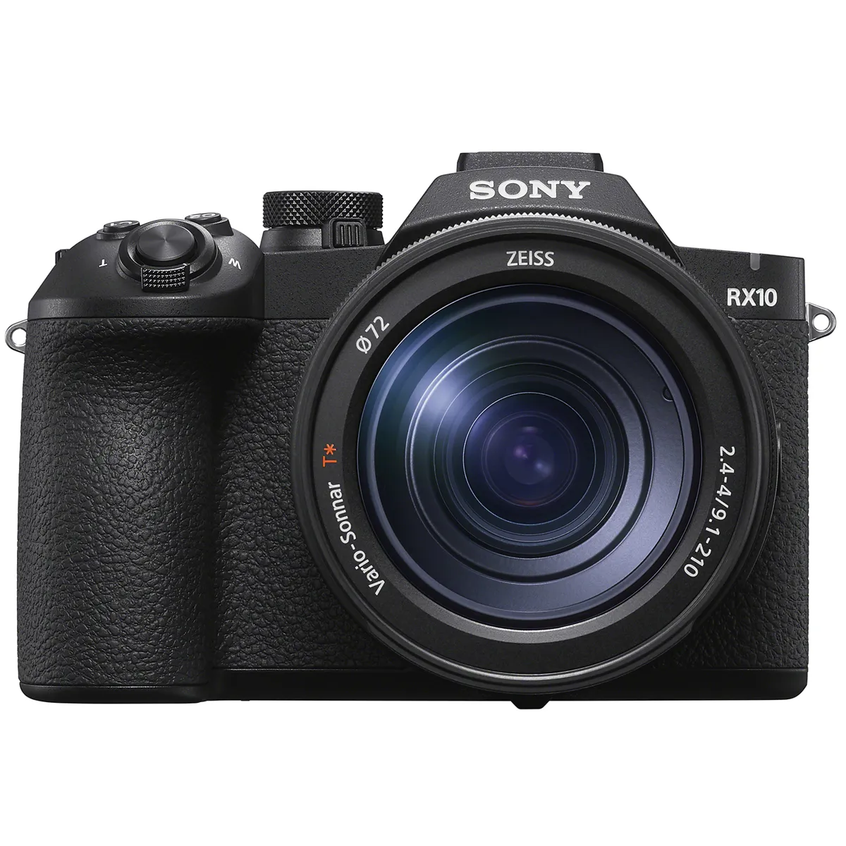 Sony RX10 V review for bird photography 3