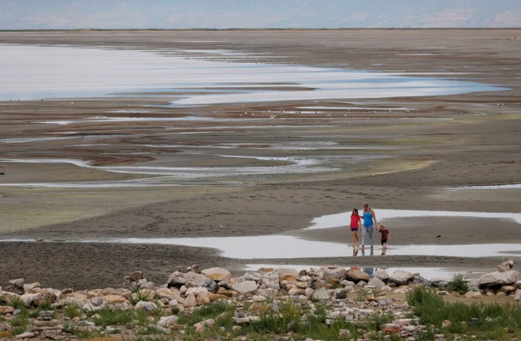 Dried Great Salt Lake Fall Bird Migration