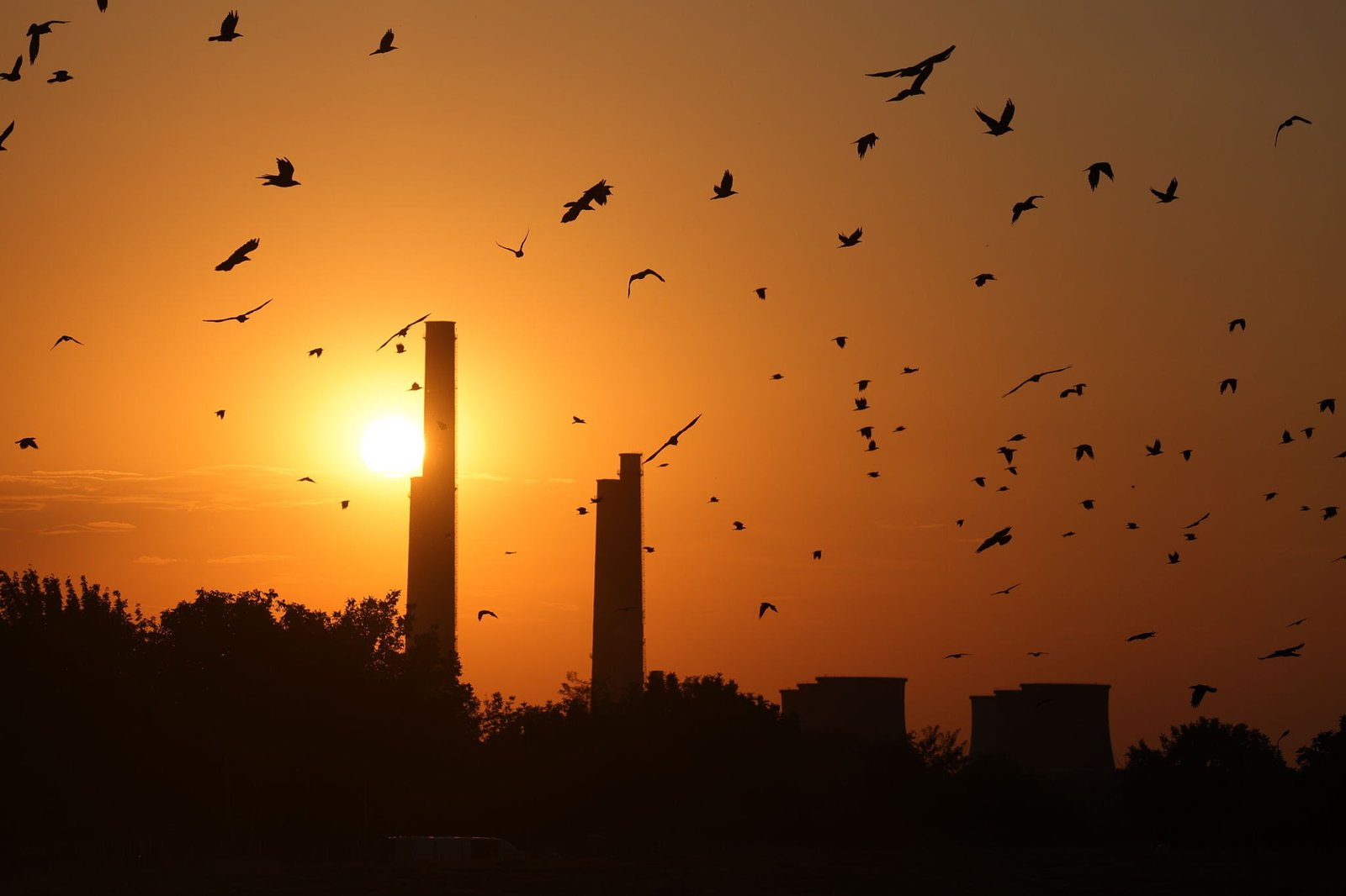 Migrating flocks navigating dramatic atmospheric conditions during autumn flyways